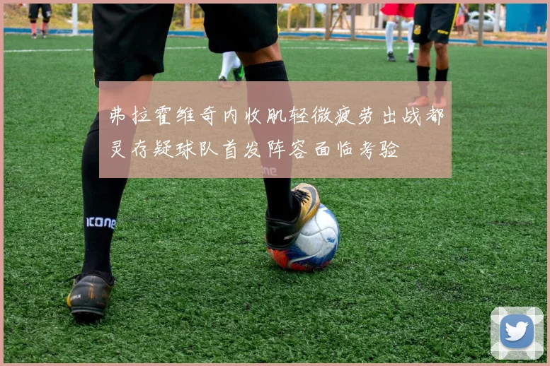 弗拉霍维奇内收肌轻微疲劳出战都灵存疑球队首发阵容面临考验