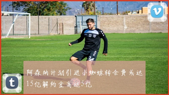 阿森纳计划引进小蜘蛛转会费或达15亿解约金高达5亿