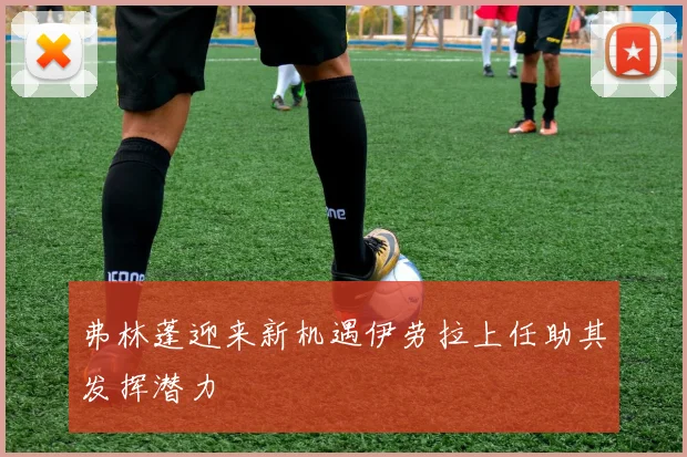 弗林蓬迎来新机遇伊劳拉上任助其发挥潜力